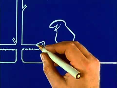 La Linea - 143