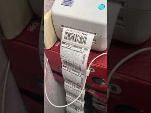 IMG 3152