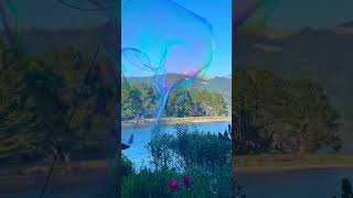 Giant bubbles at sunset on Bolinas Lagoon #bubbles #giantbubbles #soapbubbles