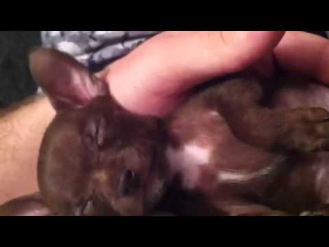 Baby Sophie sleeping