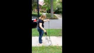 #49 - Take Your Pet Robots for a Walk