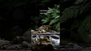 Your Self-Care Plan for the New Year 💛