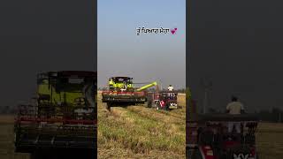 #2025 Vishal 435🥰❤️🦁#90severgreen #75hardchallenge #80s #5k #5minutecrafts #1000subs