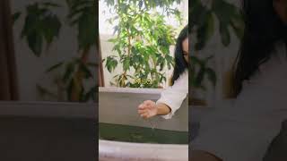 The Truth About Cheap Tech: Myth Busted!