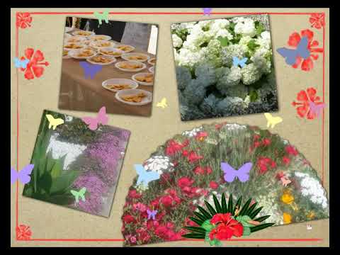 LA RIVIERA DES FLEURS DE BORDIGHERA A SABORGA