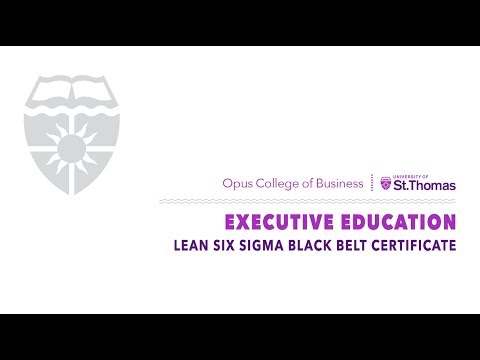 Lean Six Sigma Black Belt Certificate