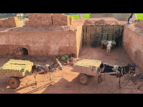 How to Make Millions Bricks |  incredible Handmade Bricks Making Process | How its made |