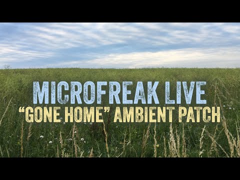 Ambient MicroFreak Live with Field Recording of Birds and Rain