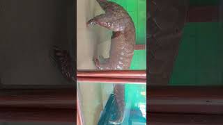ks saket pg college ayodhya faizabad zoology laboratory #avanishxyz