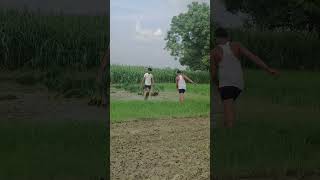 धान 🎋|#trendingshorts #viral #ytshorts #viralshortsindia #motivation #shorts