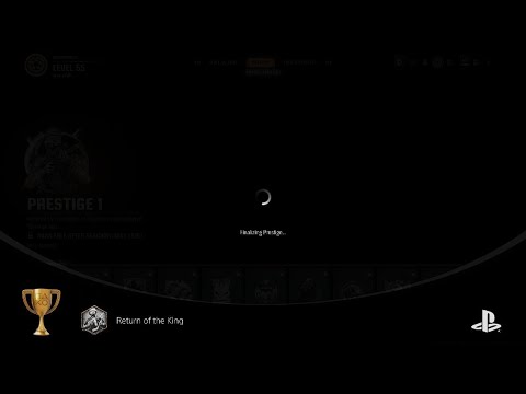 Call of Duty_20241121144315