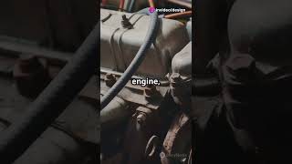 #designevolution #graphicdesign #trendy #visualcontent