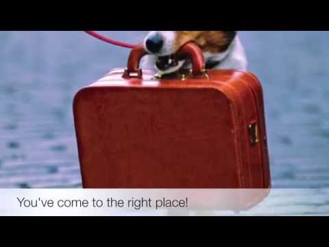 Pet Friendly Hotels Phoenix, Arizona