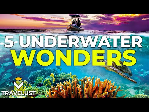 Underwater Wonders: 5 Amazing Snorkel and Dive Spots Around the Globe