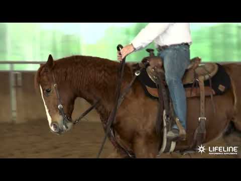 Team LIFELINE Training Tip   Steering & Guiding Exercises for Your Horse
