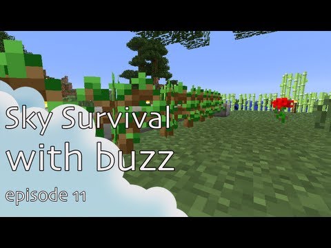 Sky Survival with Buzz: Episode 11 "Important Channel Update"