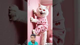 #catcontent #animalvideos 😱
