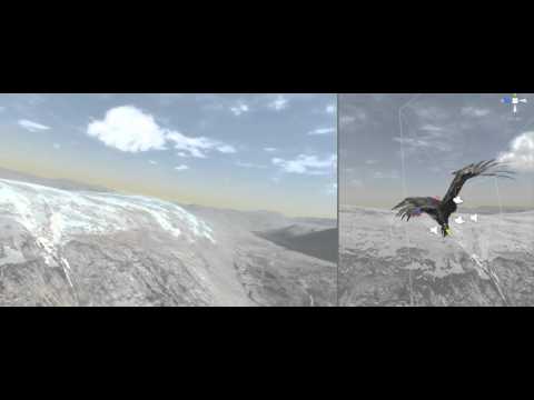 Eagle Flight Simulator Northwest Scotland - Animations/Take off and landing