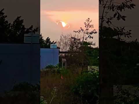 Sun rise view #morning_vibe #nature_lovers #sunriselove #shorts #viral