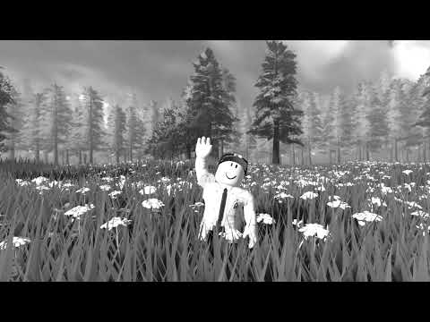 Lokija Live Stream
