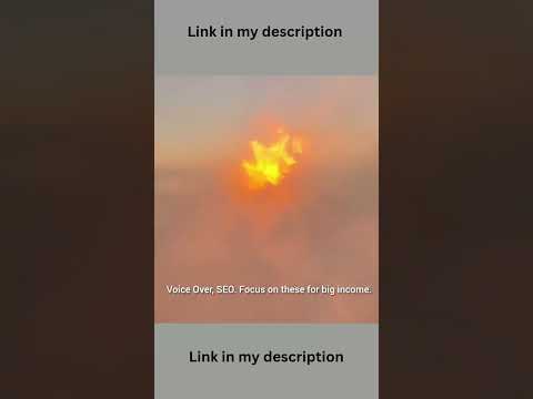 Fiverr Niches That Pay $100+