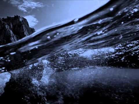 Vince Dolphin - Blue