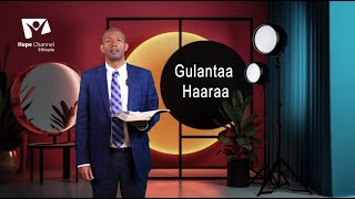 Gulantaa Haraa - Luba Tamasgeen Bultii (PHD) - Qaammee 1