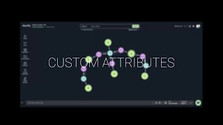 Custom Attributes and Visualization