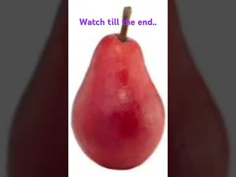 Watch till the end... #fyp #fy #memes #daily #lol #music