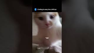 Coding is Easy?" — Cat Attack Mode ON! 🐱💻 | Funny Programming Meme