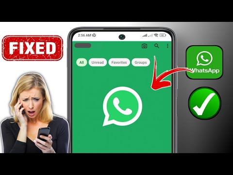 Risolvi il problema dello schermo verde e grigio delle chat di WhatsApp 2024