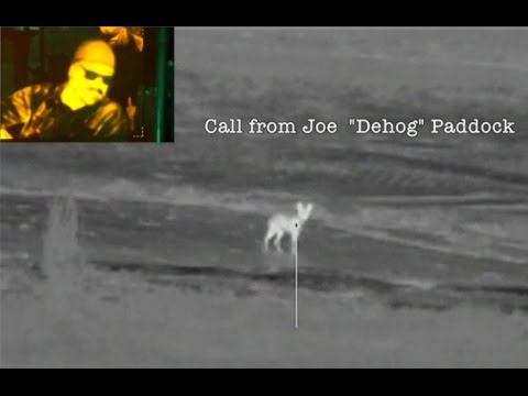 East Texas Thermal Coyote Hunting with the Dehoganator - Phone a Friend