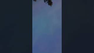 #vrial #trinding #like #shortsvideo#shortsviral #shorts#shortsyoutube #share #newsongwhatsappstatus
