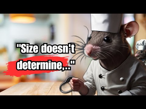 Size Doesn't Matter in the Kitchen