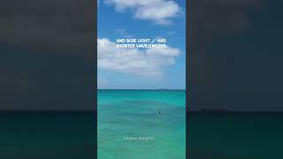 “Why Is the Sky Blue? | Quick Science Explained! 🌤💡 #shorts