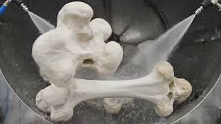Inside the Largest Toothpaste Factory — From Animal Bones to Toothpaste (Full Process)