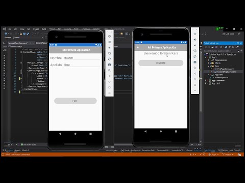 Xamarin 101 - Cómo pasar información de una página a otra y uso del layout tipo Grid