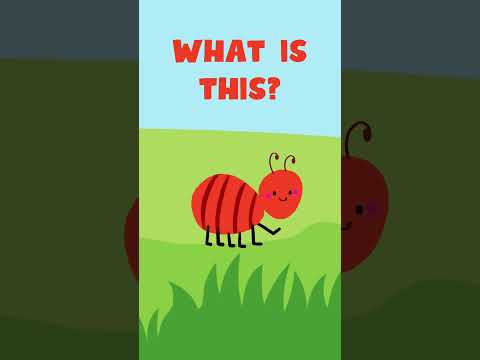 What is this? | Letter A | Interactive learning for Kids #abcsong #earlyliteracy #preschoollearning