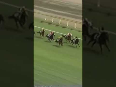 1996年　日本ダービー　フサイチコンコルド