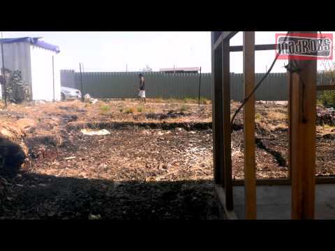 robs hit by car special effects Papua New Guinea After Effects