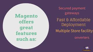 Magento Web Development - Why it is a perfect eCommerce Solution?