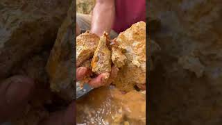 Gold found after a steady and focused search ✨ #goldhunter #goldfinds  #viral