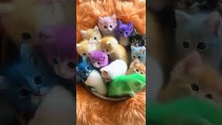 Epic Animal Transformation (Fantasy Art)