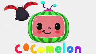 COCOMELON INTRO EFFECTS { 1HOUR COMPILATION } 