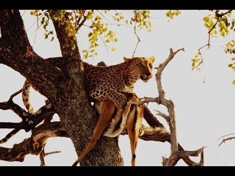 Etosha 2015 - Beautiful highlights of our visit to