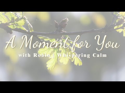 A Moment for You | Soft Piano for Inner Calm and Emotional Release | 1 Hour of Gentle Music