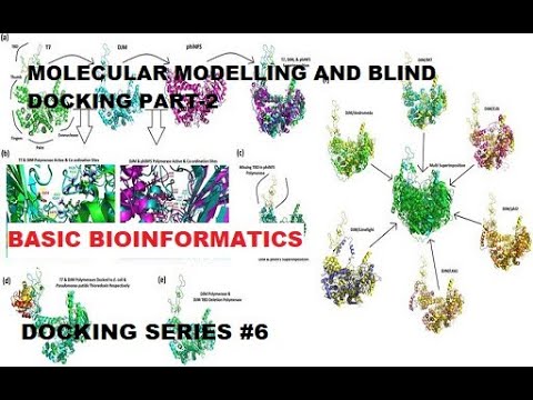 Molecular Modelling and Blind Docking Part 2 [Docking Series #6]