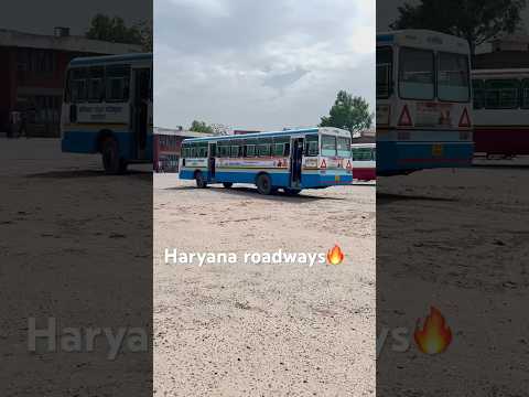 Haryana roadways🔥
