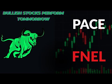 "FNEL" Pace: Bullish Stocks Performance Outlook for Tomorrow