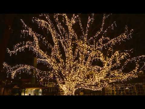 TMB Firefly Fairy Lights
